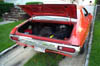 torino trunk